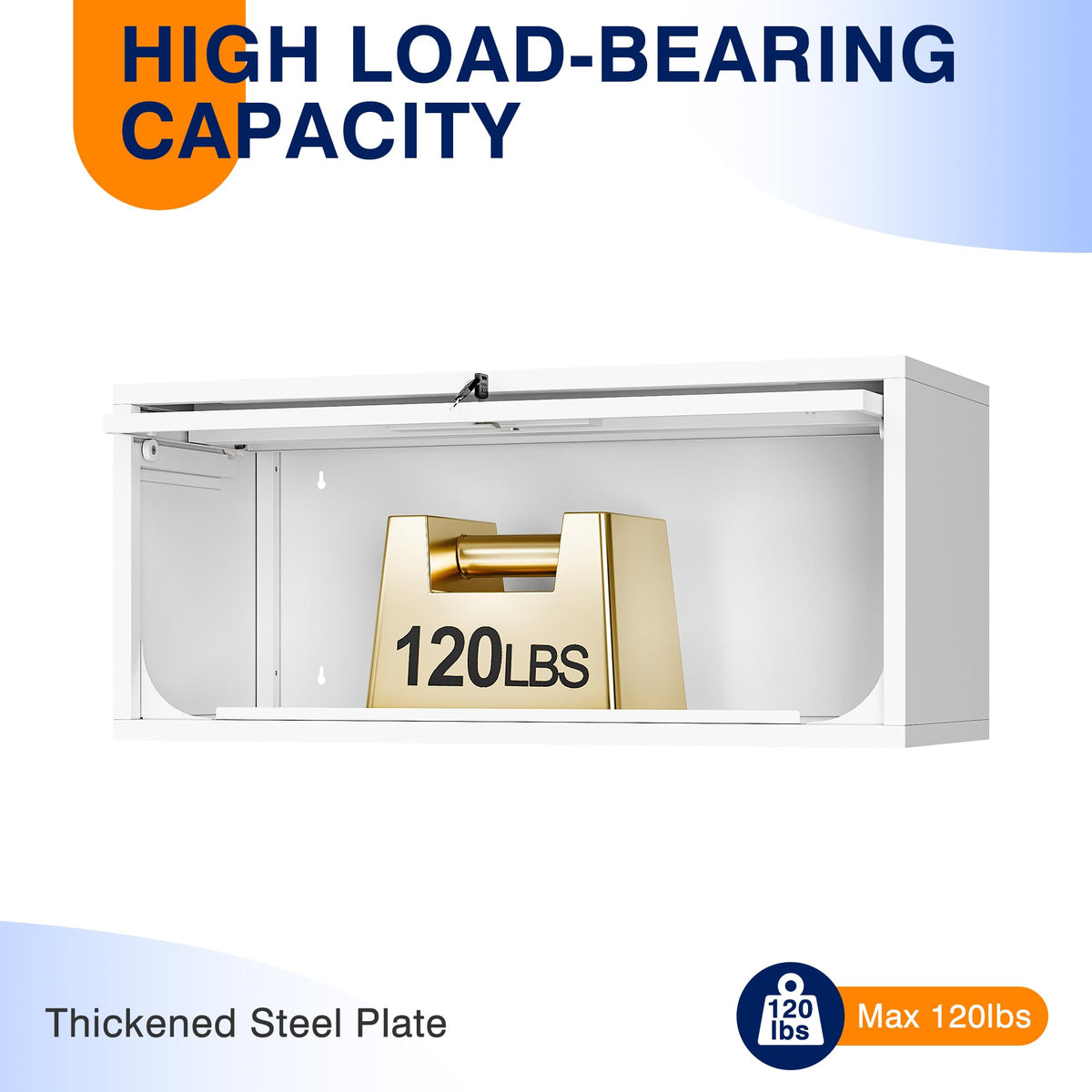 Metal Wall Mounted Storage Cabinet with Doors H781