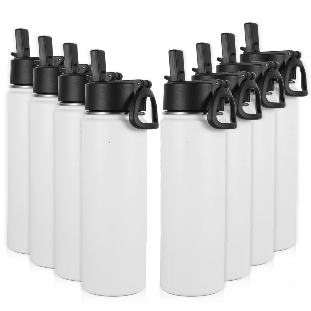 22 oz Stainless Steel Insulated Water Bottles with Straw 8 Pack P1416