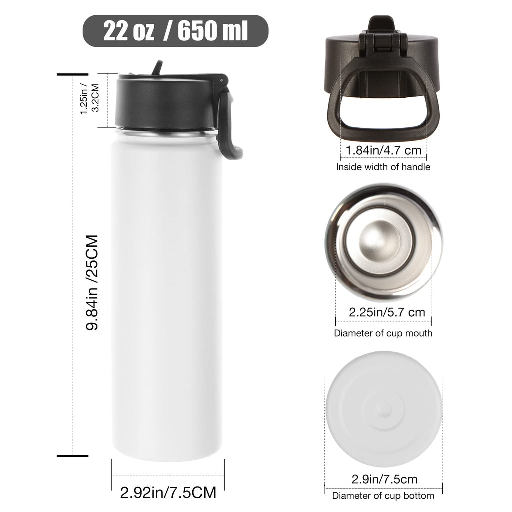 22 oz Stainless Steel Insulated Water Bottles with Straw 8 Pack P1416