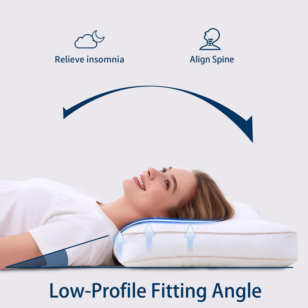 King Size Set of 2 Ultra Thin Pillow D488