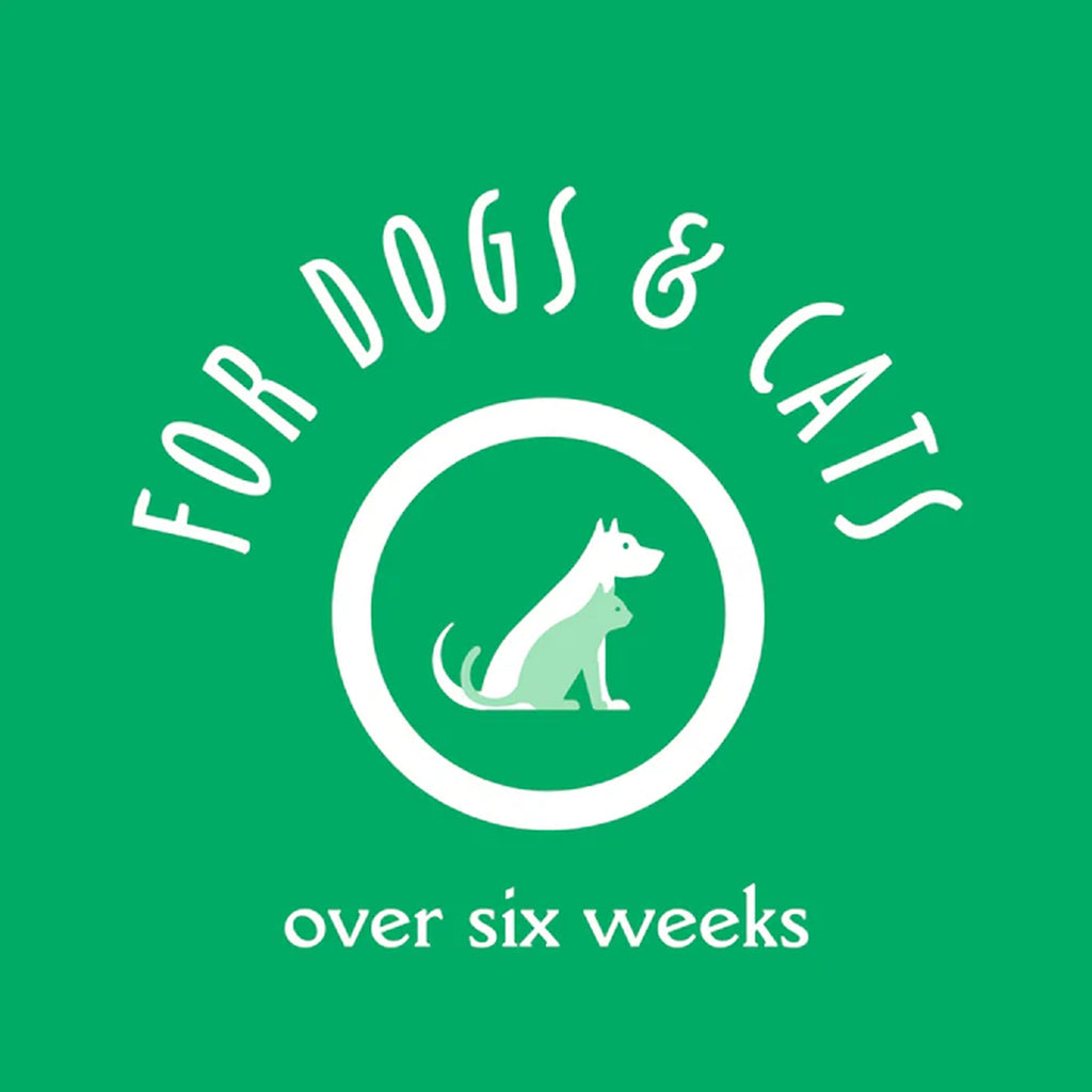 Oatmeal & Aloe Dog Shampoo, 16 fl oz J1808