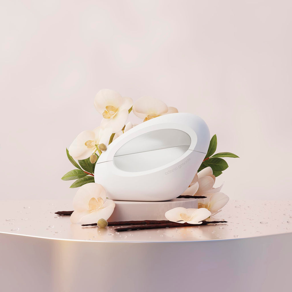 Vanilla Musk Eau De Parfum B1296