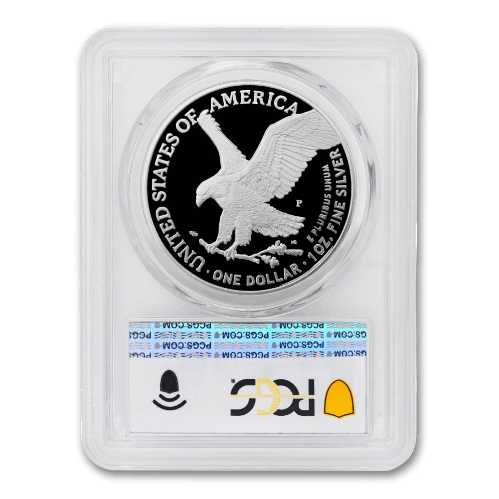 1 oz American Silver Eagle Coin M377