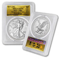 1 oz American Silver Eagle Coin MS-70 P3818