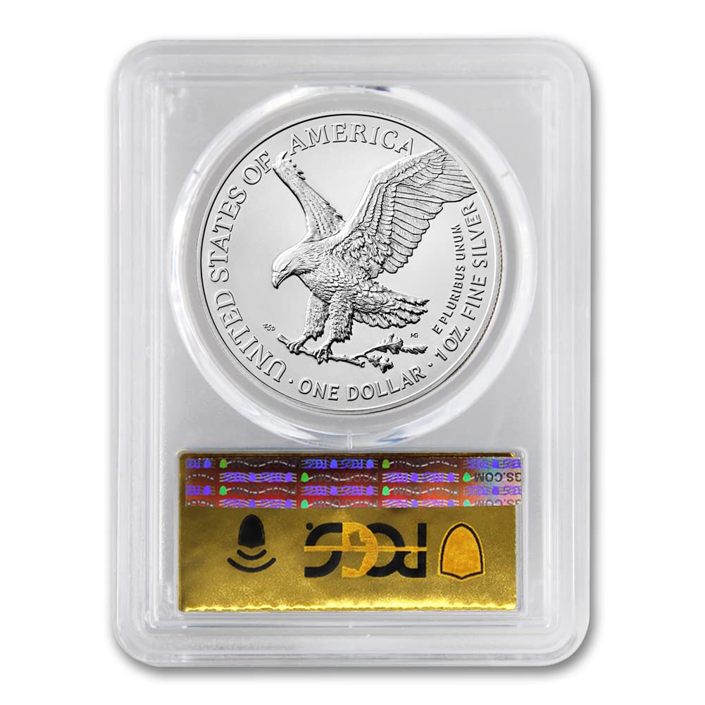 1 oz American Silver Eagle Coin MS-70 P3818