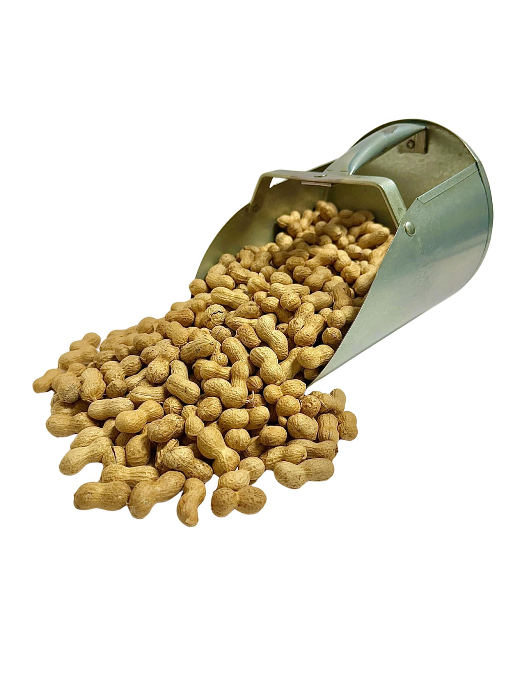5 Pounds Raw Spanish Peanuts in Shell F962437