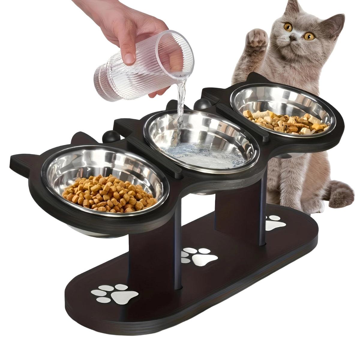 Raised Cat Bowls with 3 Stainless Steel Bowls L24371
