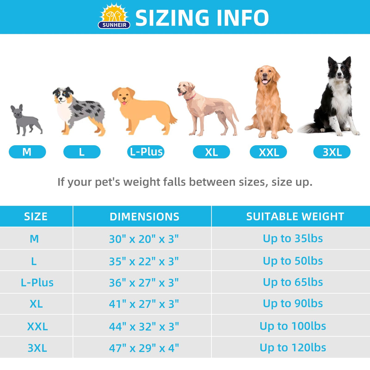 Washable Orthopedic Large Dog Bed G322398