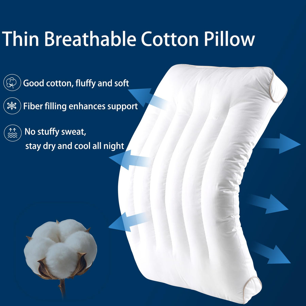 King Size Set of 2 Ultra Thin Pillow D488
