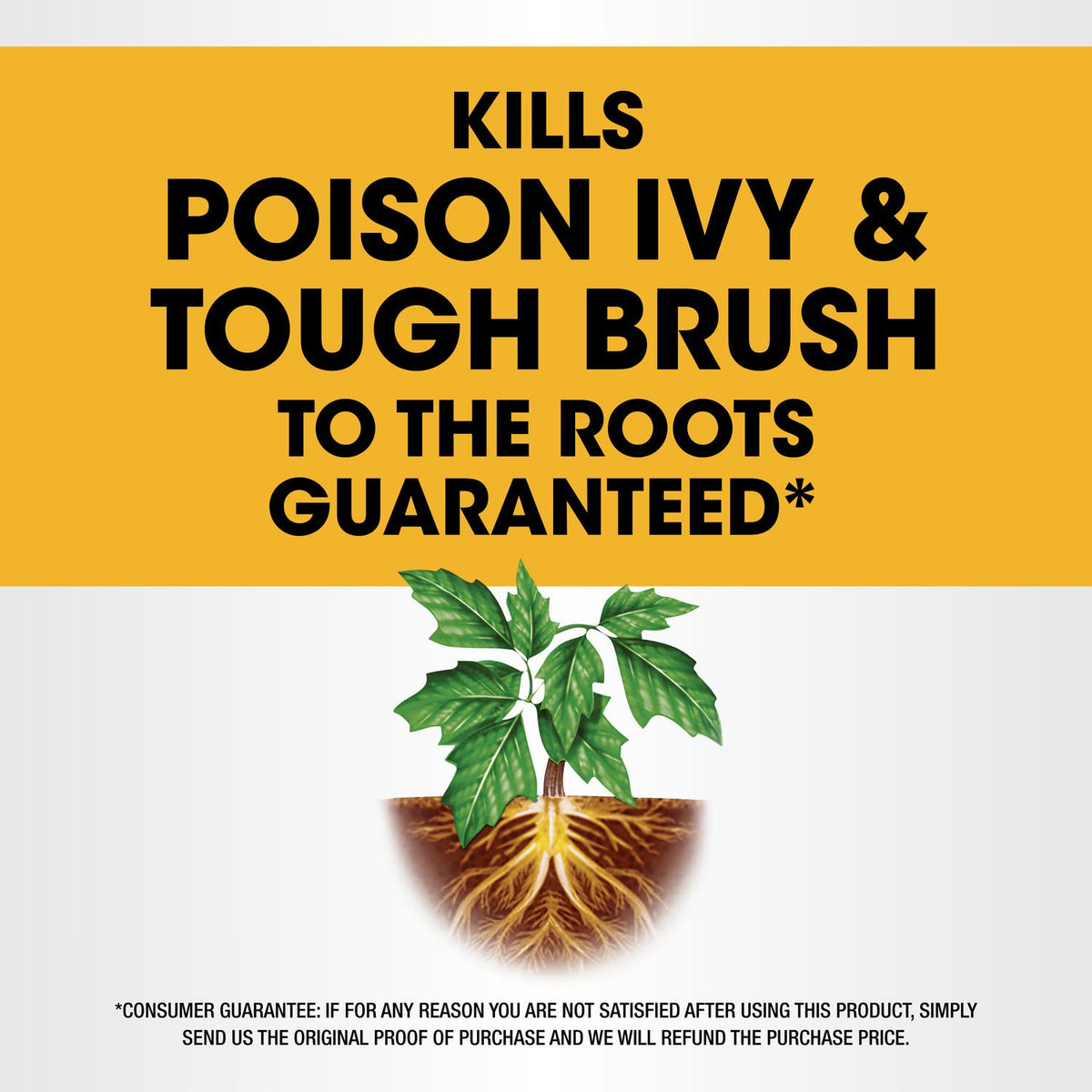 Poison Ivy Plus Tough Brush Killer Trigger Sprayer 1 gal O47724