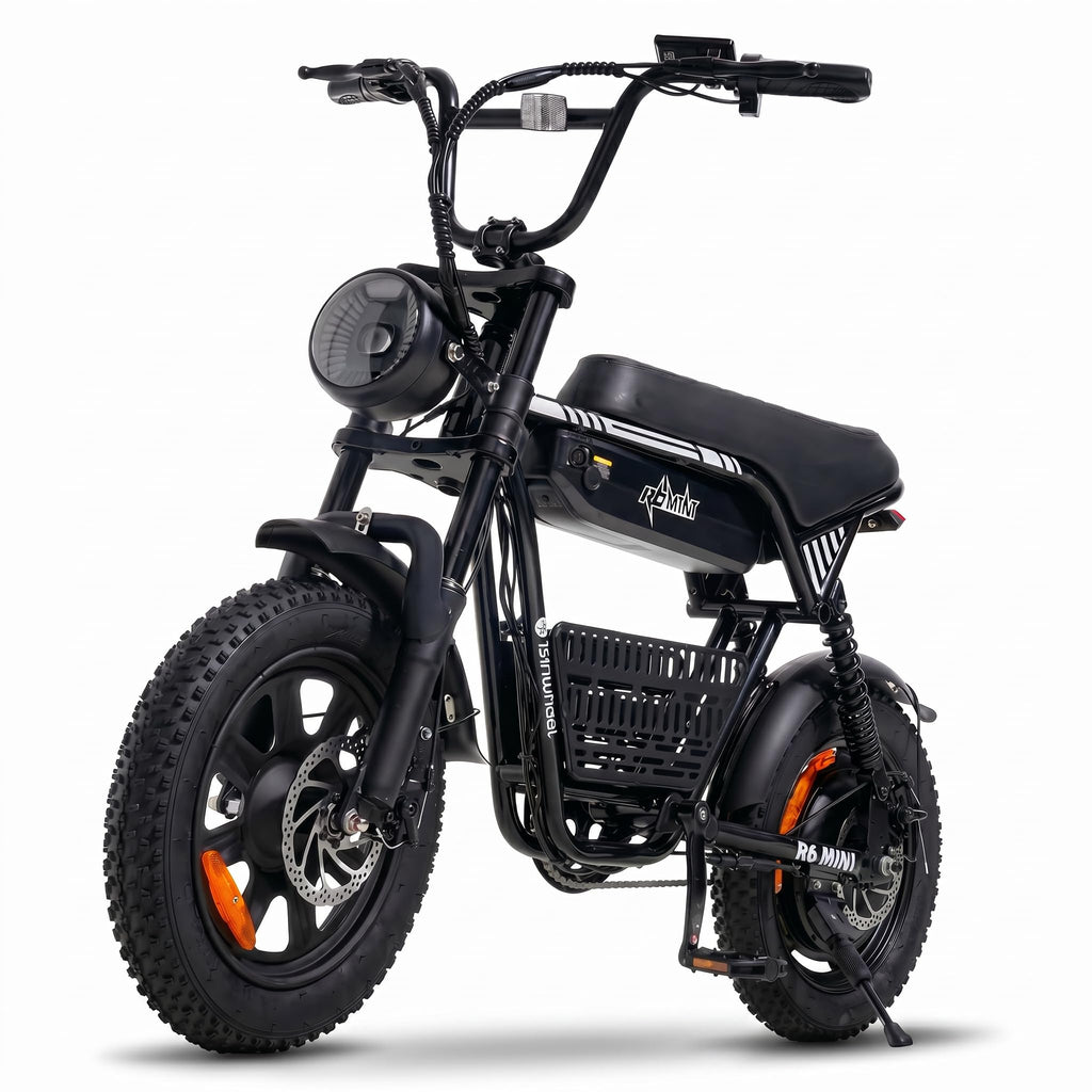 1000W Fat Tire Electric Bike with 48V 13Ah Battery U1850