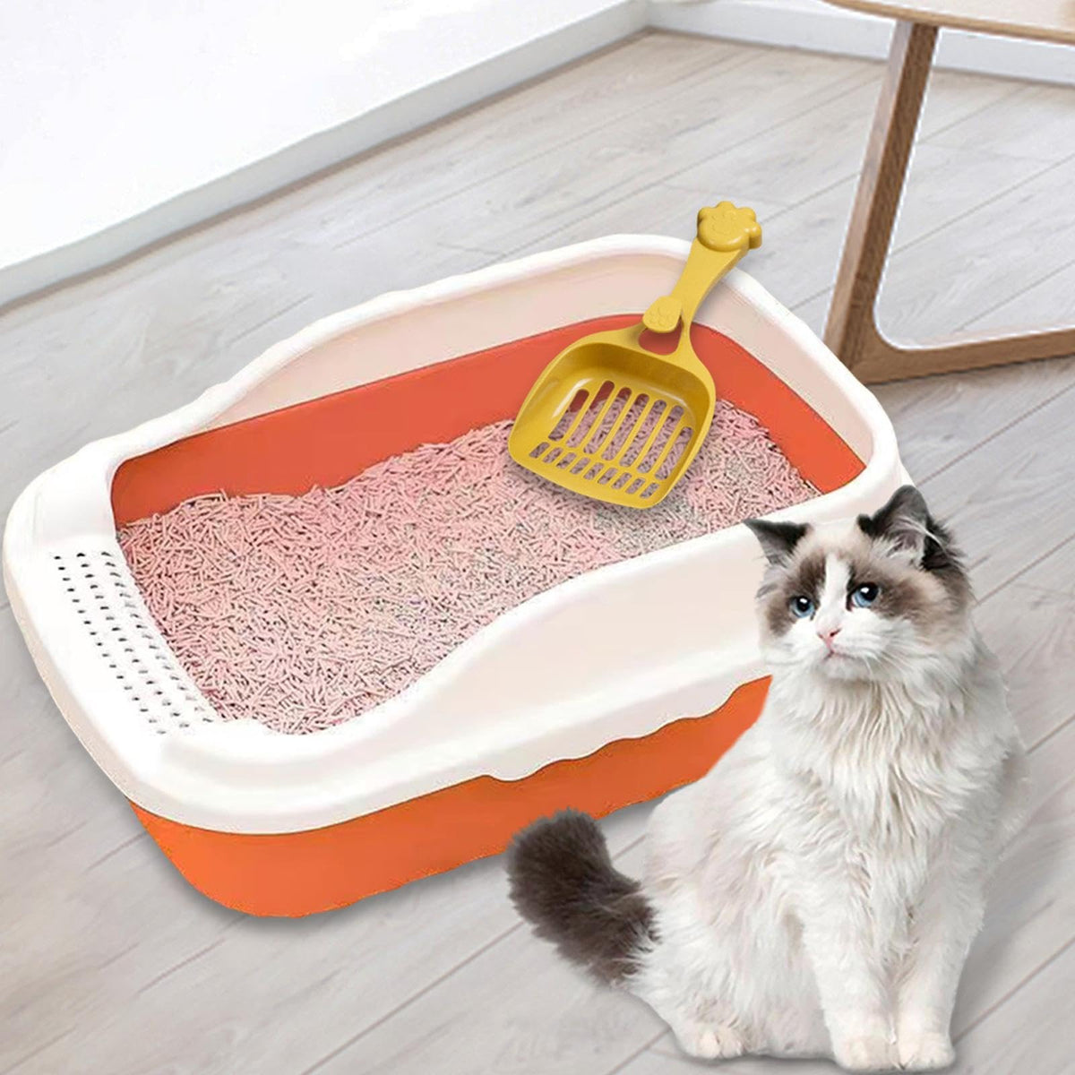 Open Top Cat Litter Box J52904