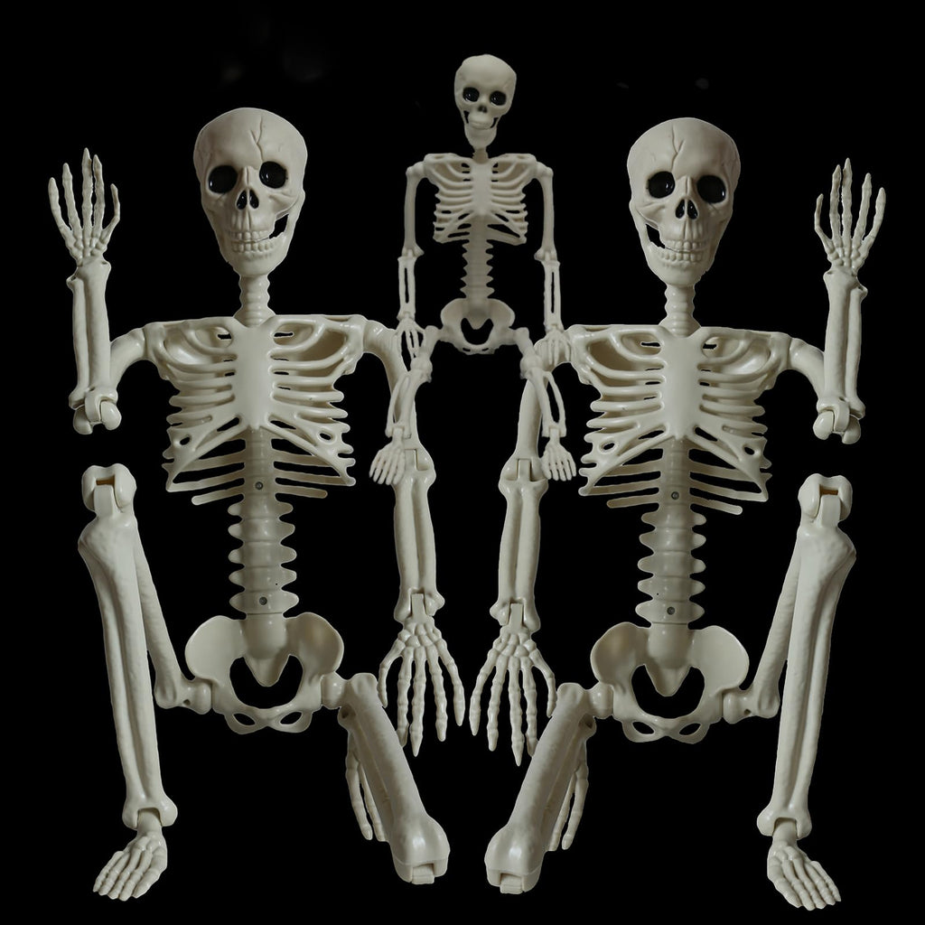 2Pcs 36" 1Pcs 16" Posable Plastic Skeleton U9760