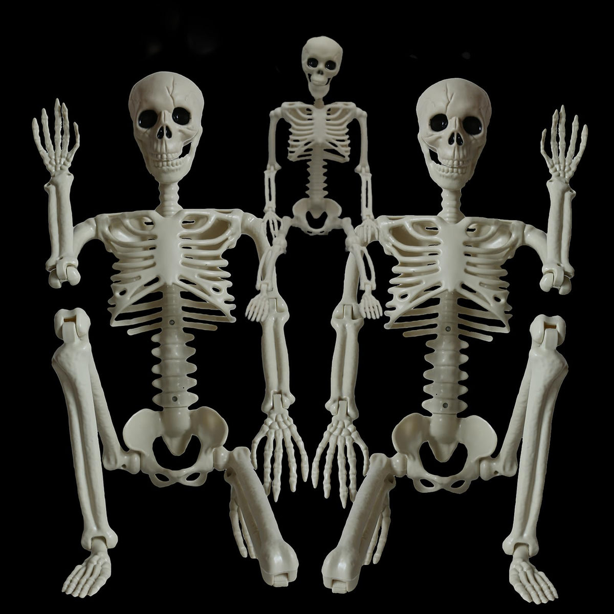 2Pcs 36" 1Pcs 16" Posable Plastic Skeleton U9760