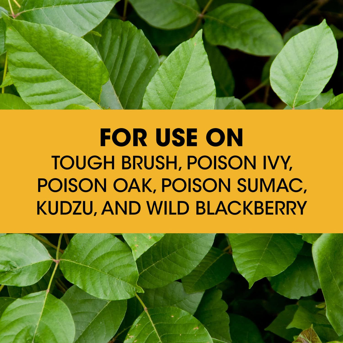 Poison Ivy Plus Tough Brush Killer Trigger Sprayer 1 gal O47724