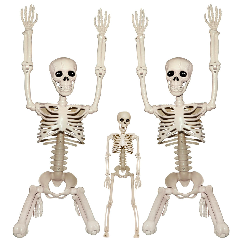 2Pcs 36" 1Pcs 16" Posable Plastic Skeleton U9760