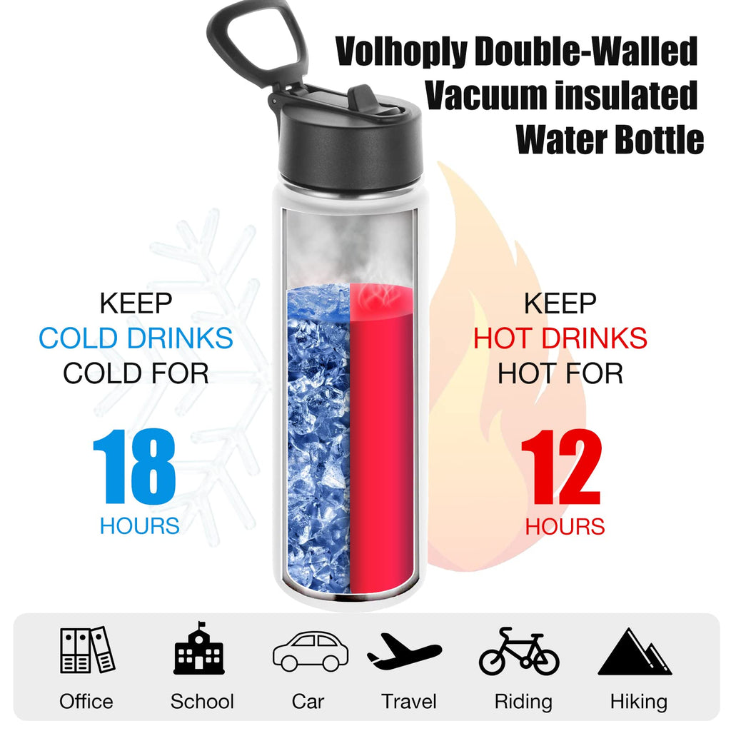 22 oz Stainless Steel Insulated Water Bottles with Straw 8 Pack P1416