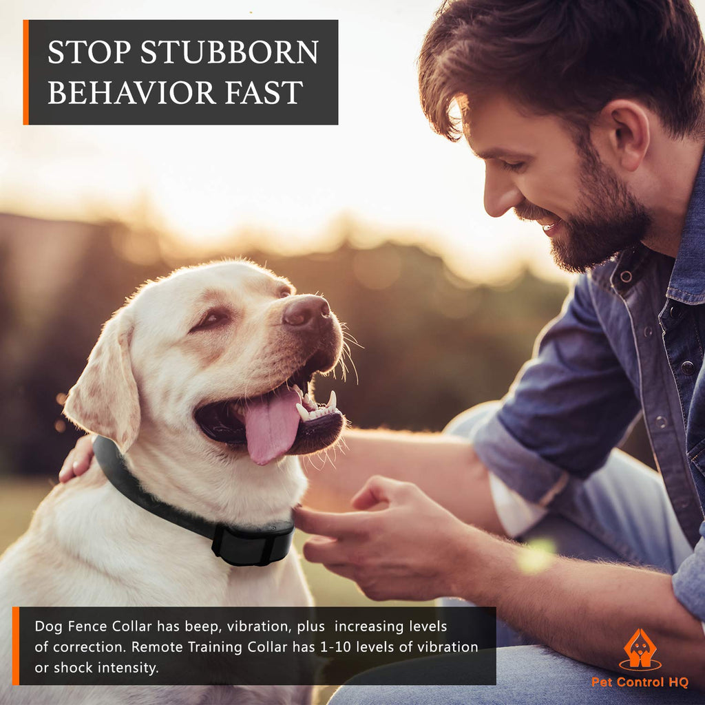 Wireless Dog Fence System with Remote R742
