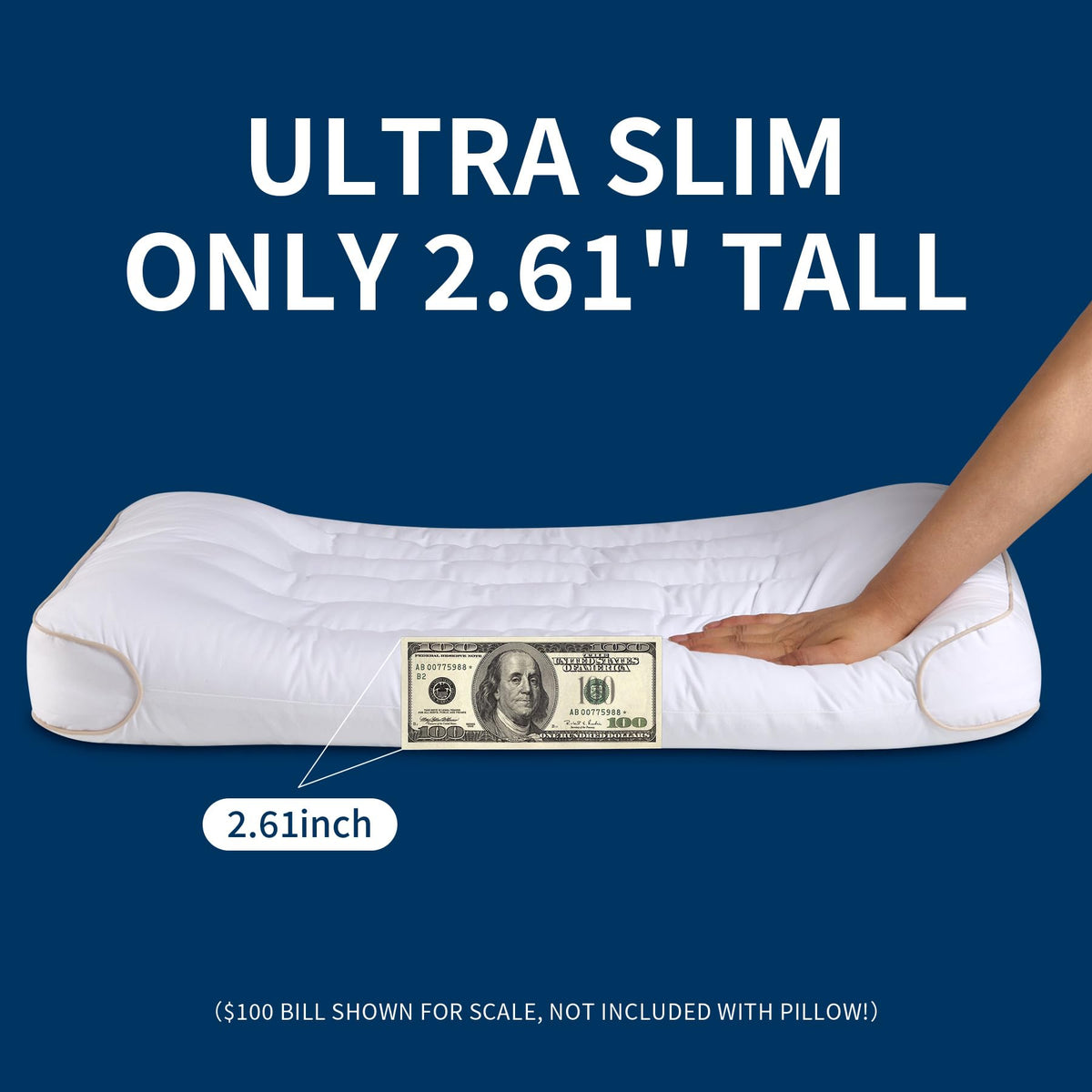 King Size Set of 2 Ultra Thin Pillow D488