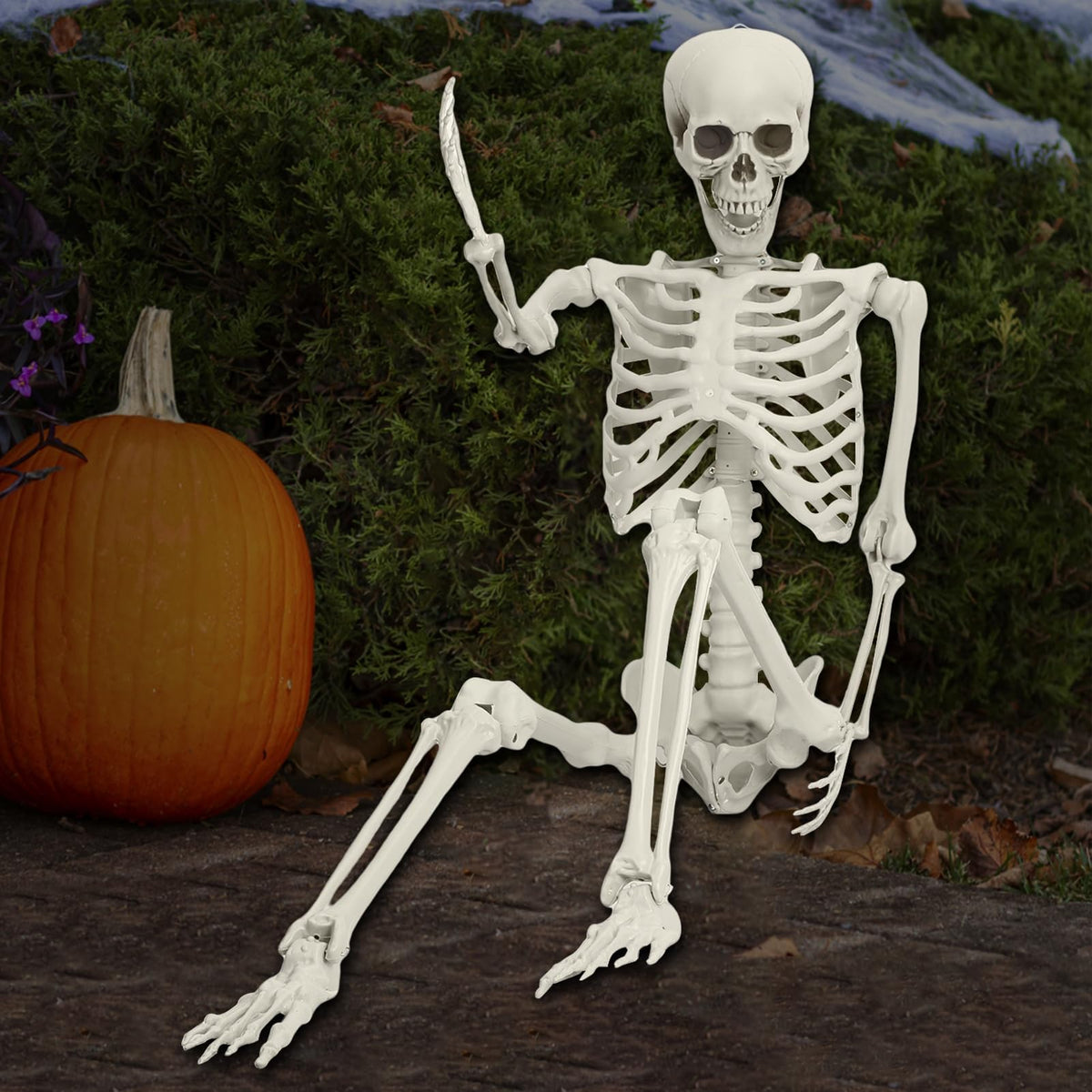 5.4ft Poseable Life Size Skeleton with Movable Joints F1263