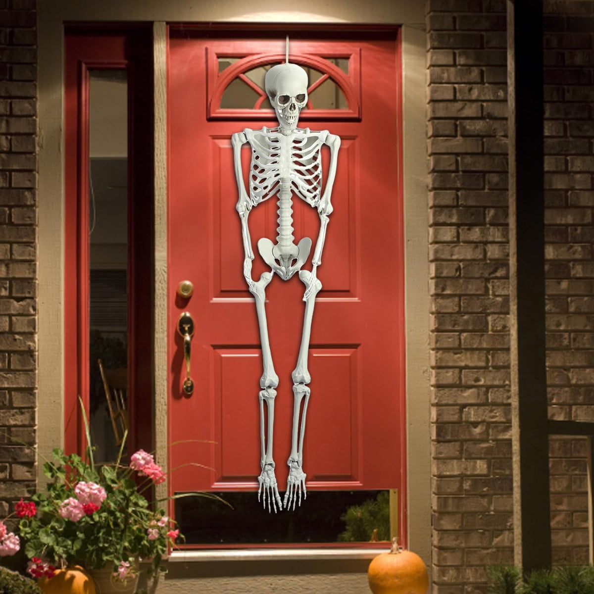 5.4ft Poseable Life Size Skeleton with Movable Joints F1263
