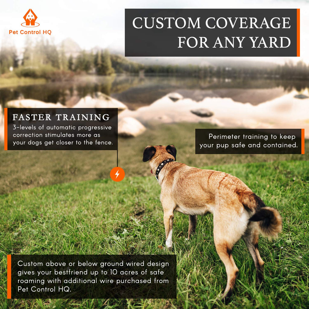 Wireless Dog Fence System with Remote R742