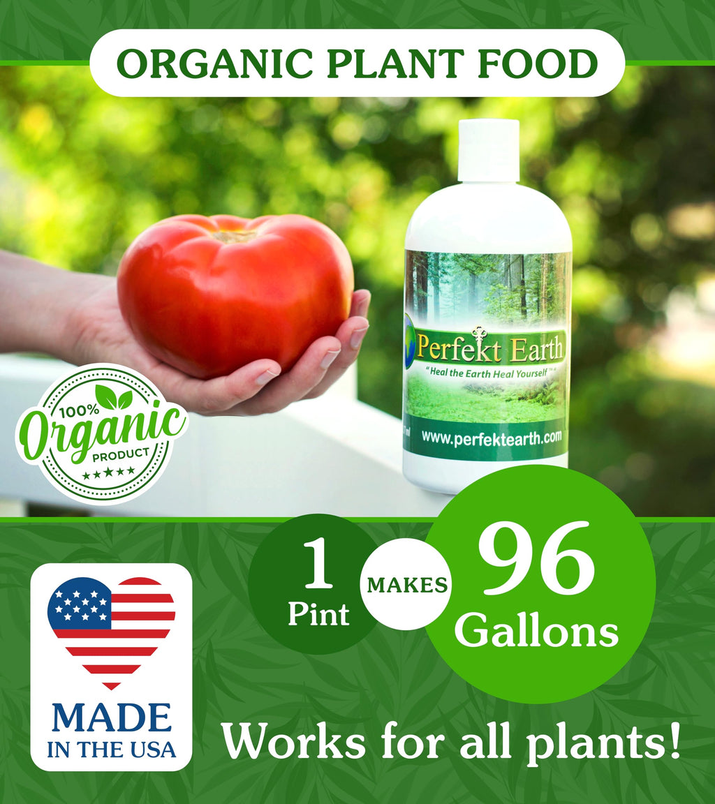Organic Liquid Fertilizer 1 Pint T81212