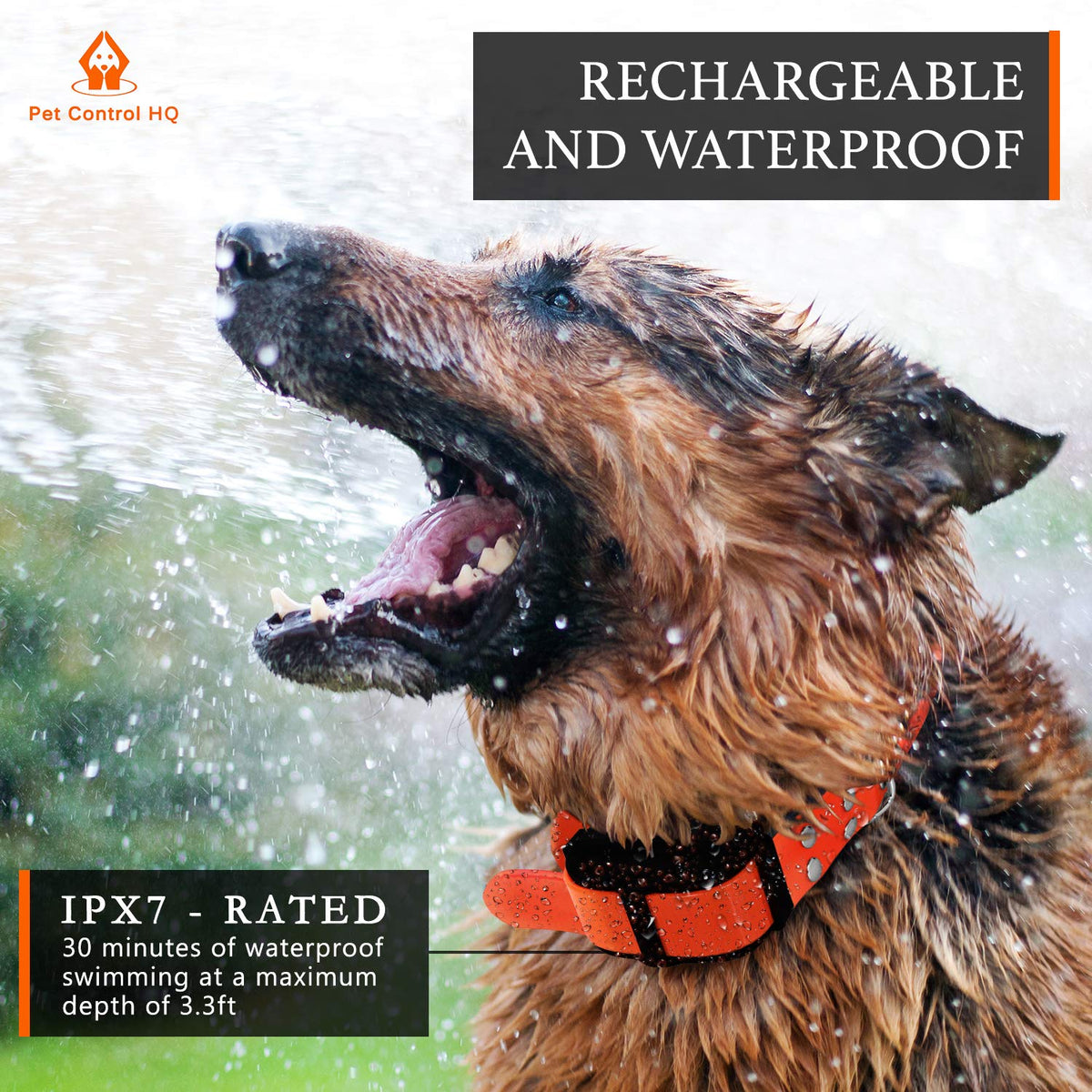 Wireless Dog Fence System with Remote R742