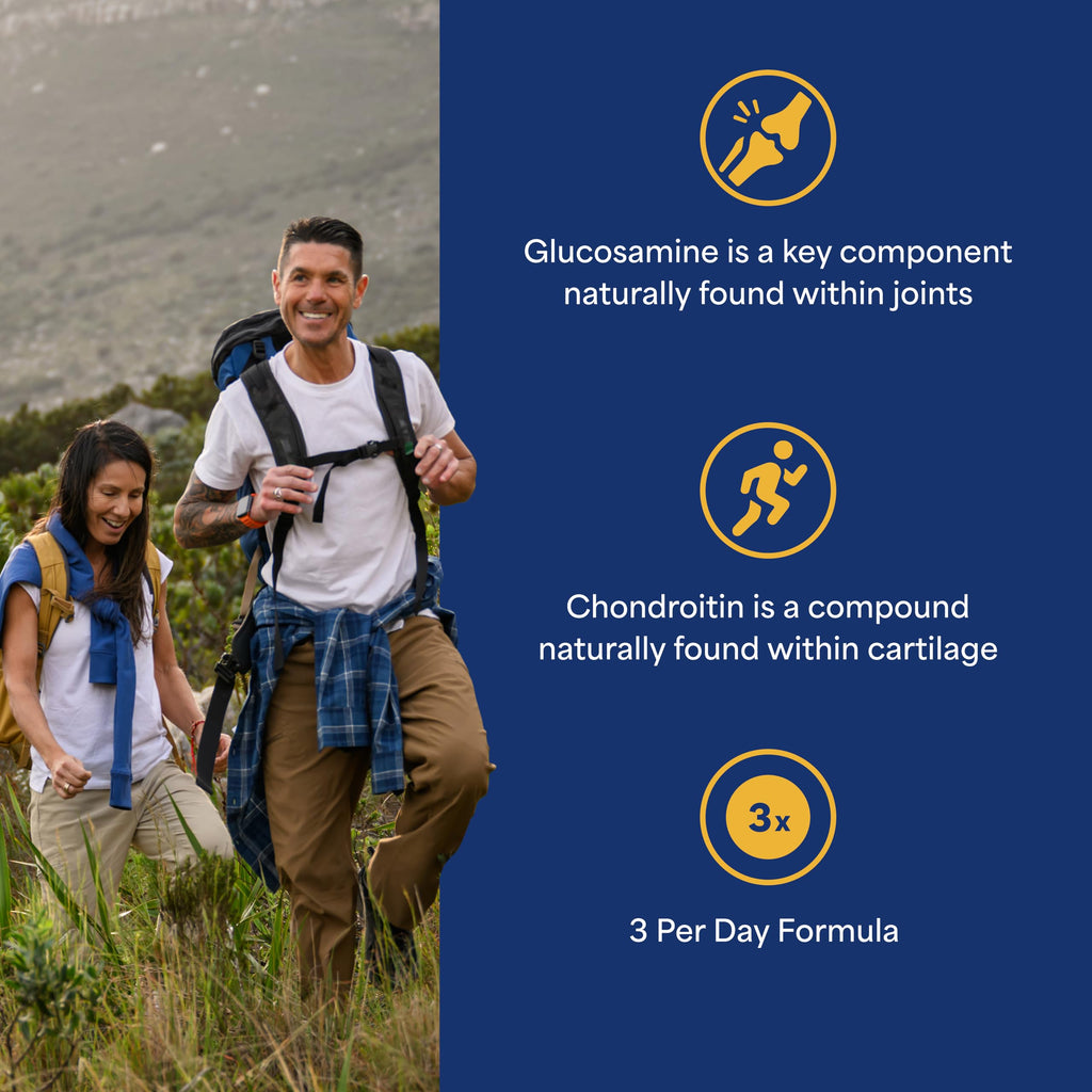 Glucosamine Chondroitin MSM Dietary Supplement K66178