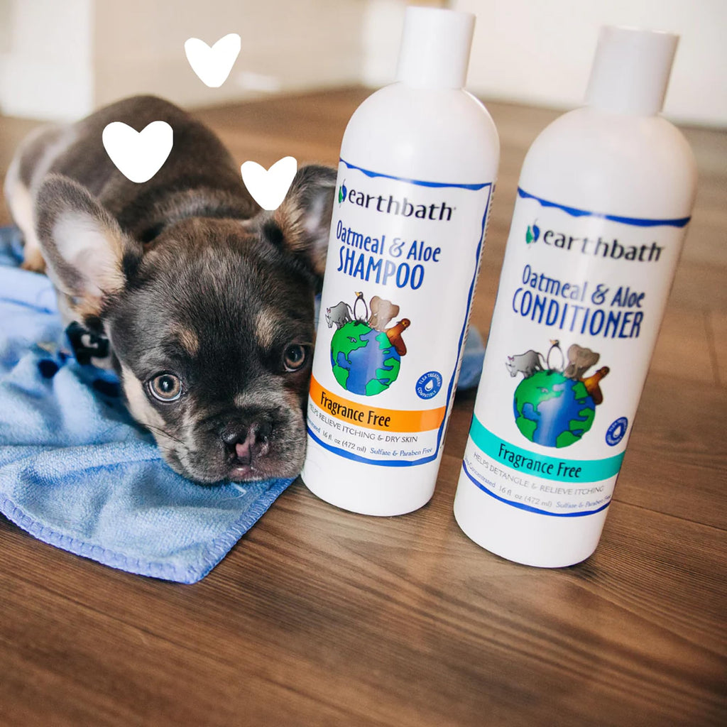 Oatmeal & Aloe Dog Shampoo, 16 fl oz J1808