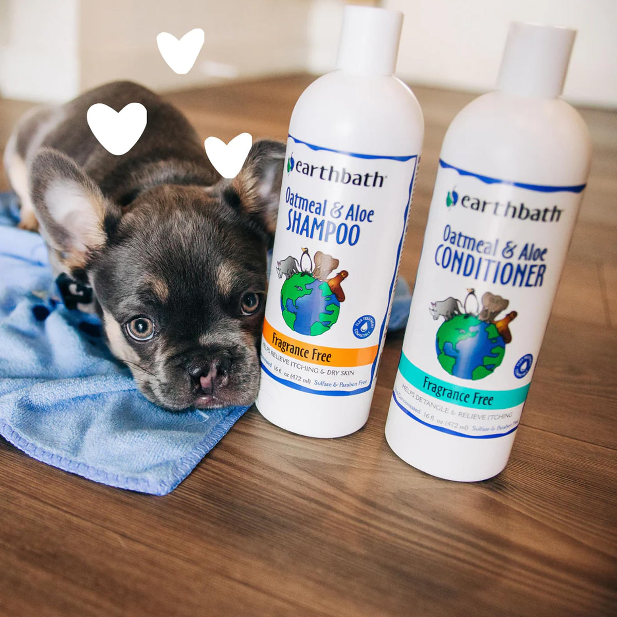 Oatmeal & Aloe Dog Shampoo, 16 fl oz J1808