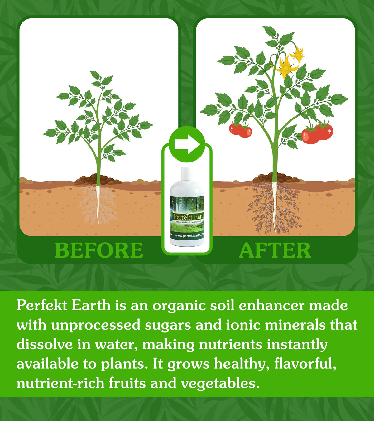 Organic Liquid Fertilizer 1 Pint T81212