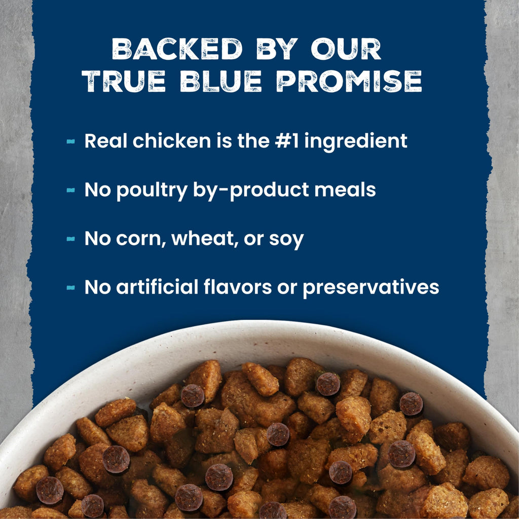 Chicken & Wholesome Grains Adult Dry Dog Food, 28lb A3206