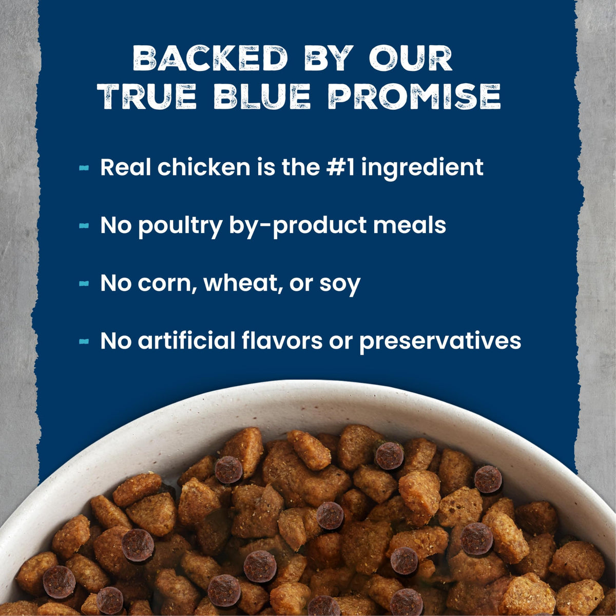 Chicken & Wholesome Grains Adult Dry Dog Food, 28lb A3206