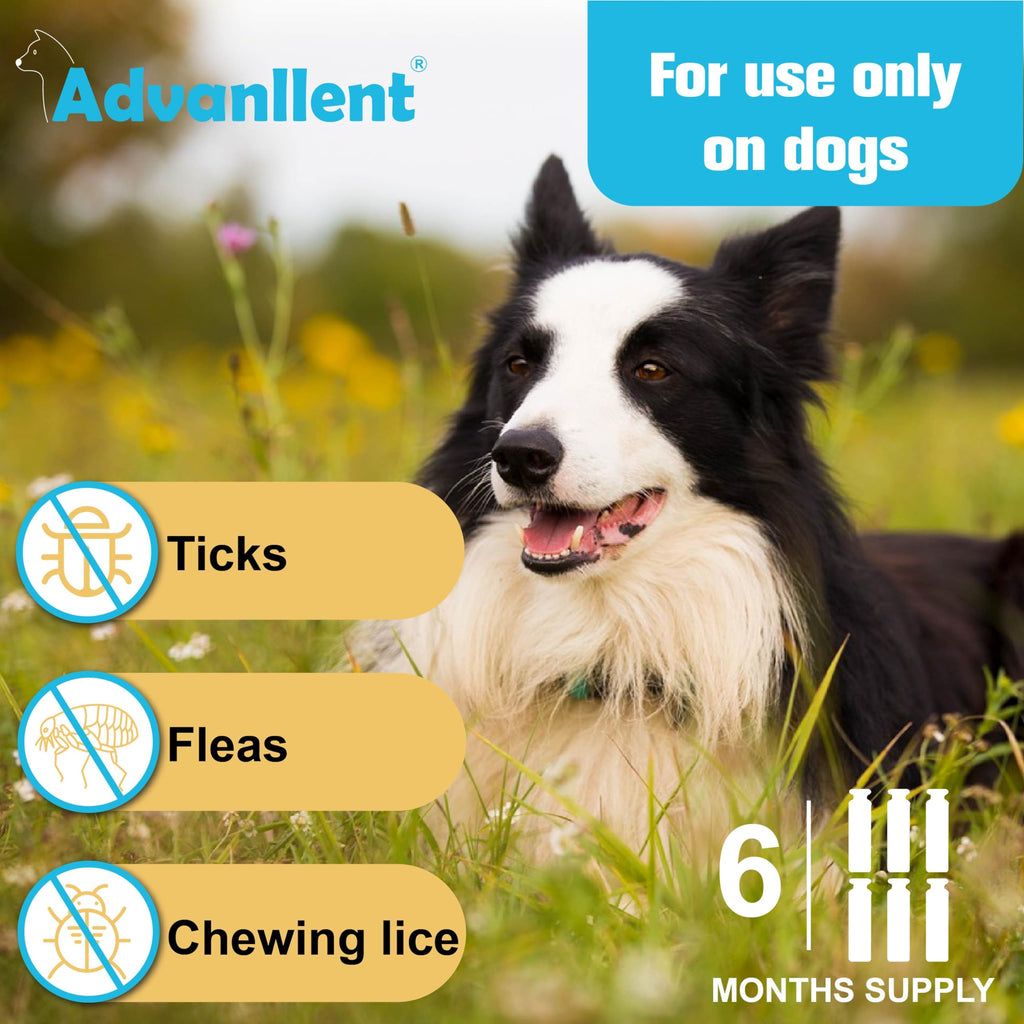 Flea and Tick Prevention for Dogs 6 Doses M83683