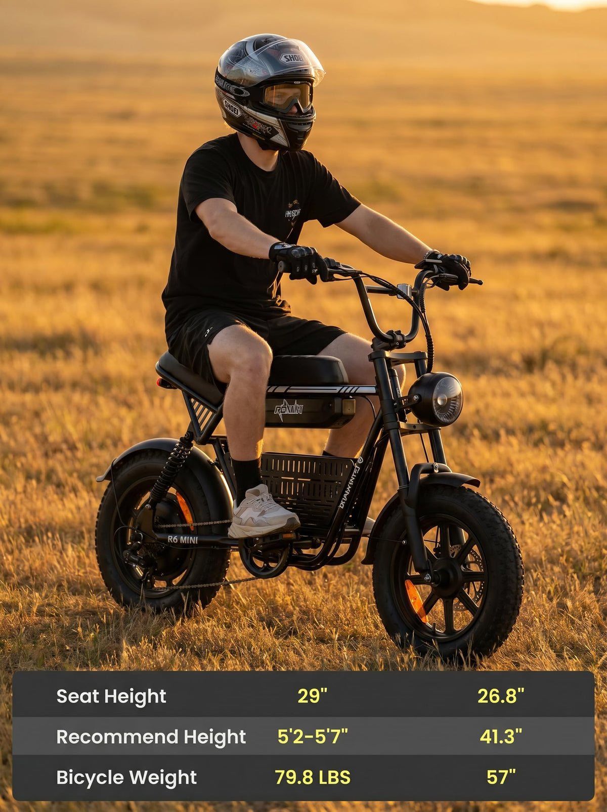 1000W Fat Tire Electric Bike with 48V 13Ah Battery U1850