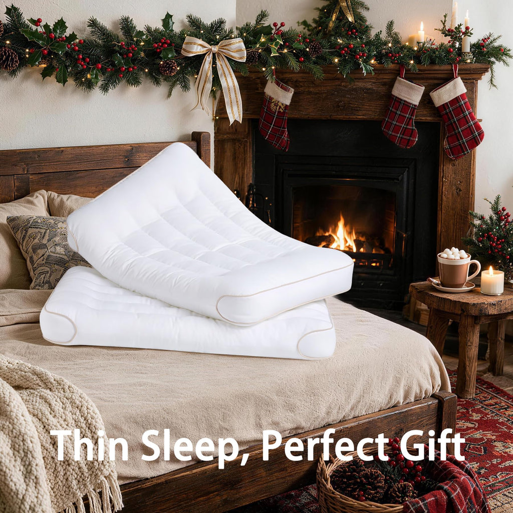 King Size Set of 2 Ultra Thin Pillow D488