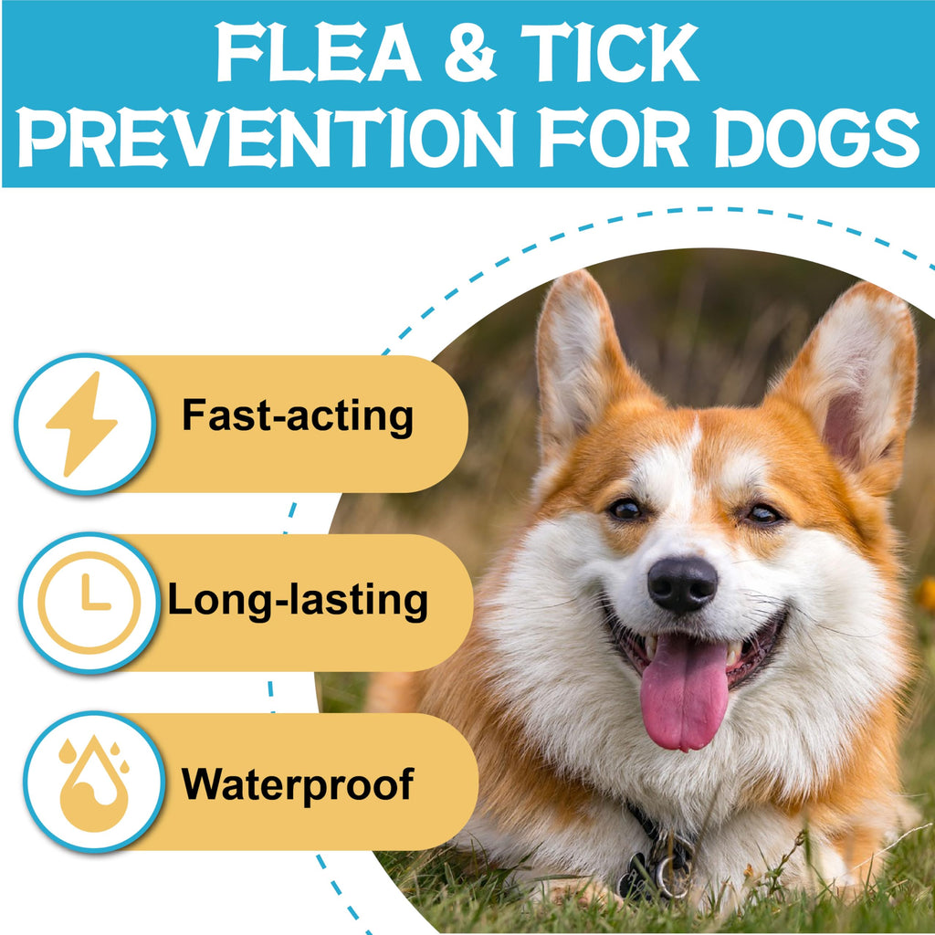 Flea and Tick Prevention for Dogs 6 Doses M83683