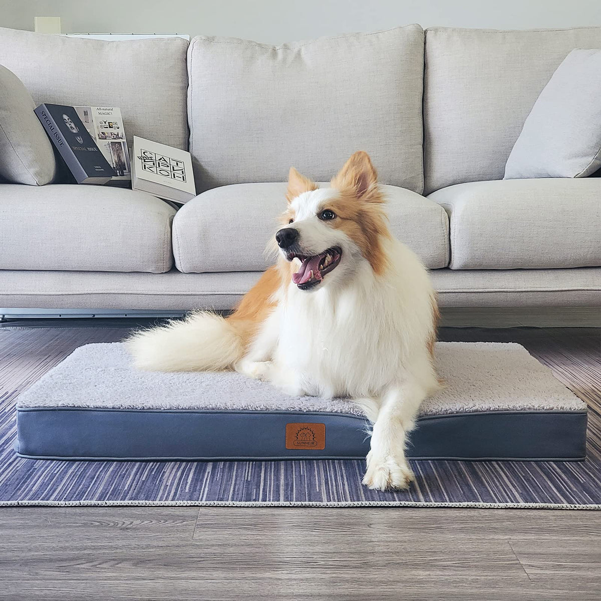Washable Orthopedic Large Dog Bed G322398