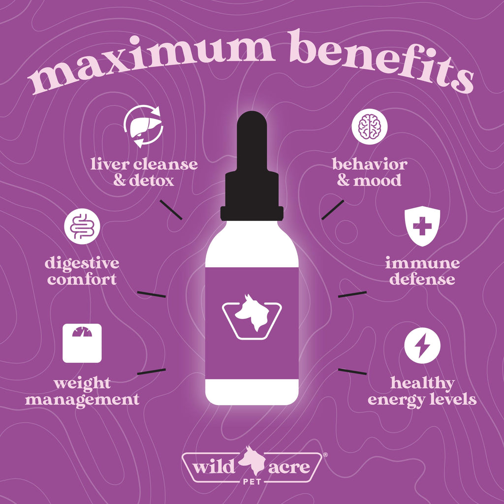Milk Thistle for Dogs Liver Support 2 oz K529239