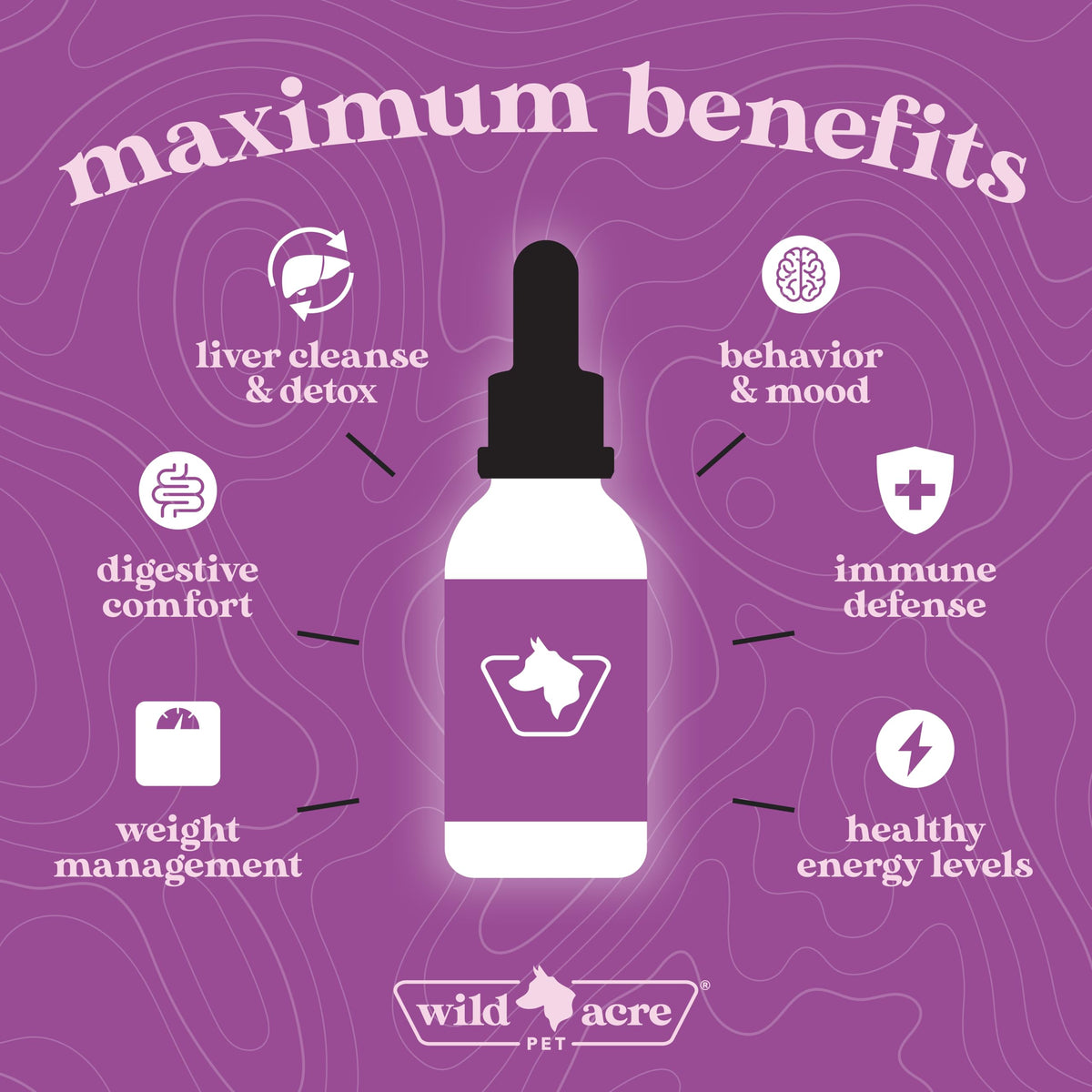 Milk Thistle for Dogs Liver Support 2 oz K529239