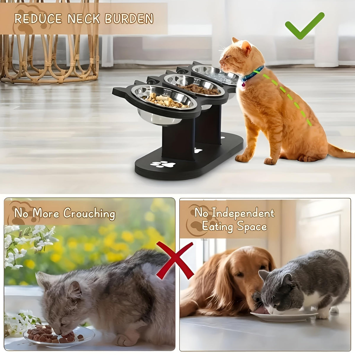 Raised Cat Bowls with 3 Stainless Steel Bowls L24371