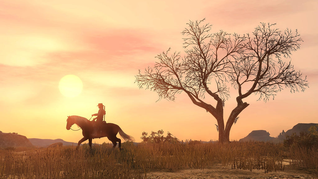 Red Dead Redemption PlayStation 4 X647926