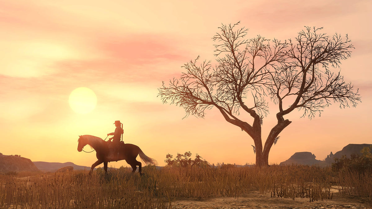 Red Dead Redemption PlayStation 4 X647926