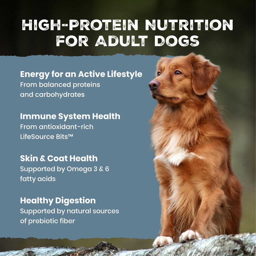 Chicken & Wholesome Grains Adult Dry Dog Food, 28lb A3206