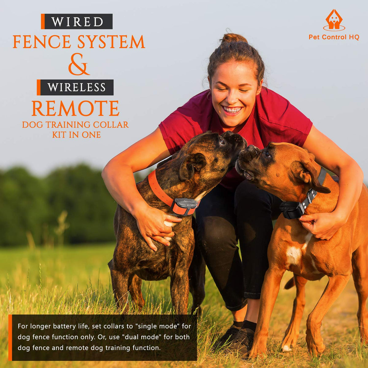 Wireless Dog Fence System with Remote R742