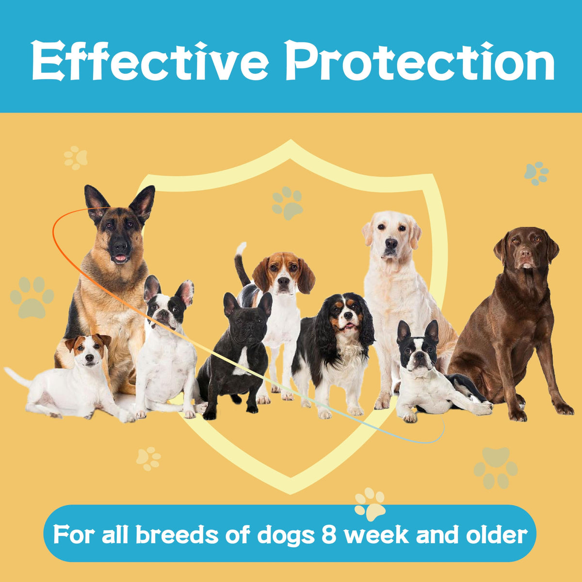 Flea and Tick Prevention for Dogs 6 Doses M83683