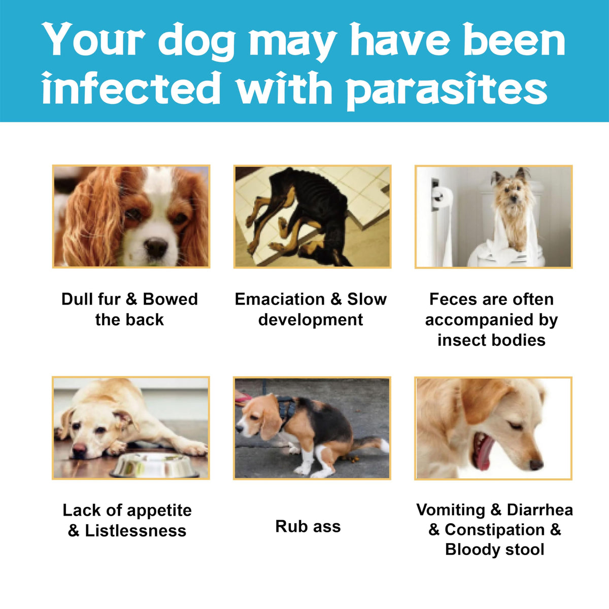 Flea and Tick Prevention for Dogs 6 Doses M83683