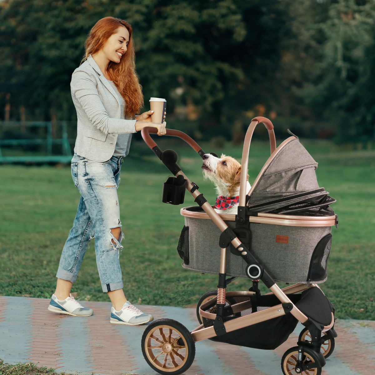 Dog Stroller with Detachable Carrier, Rubber Wheels, 50 lbs, Grey R161