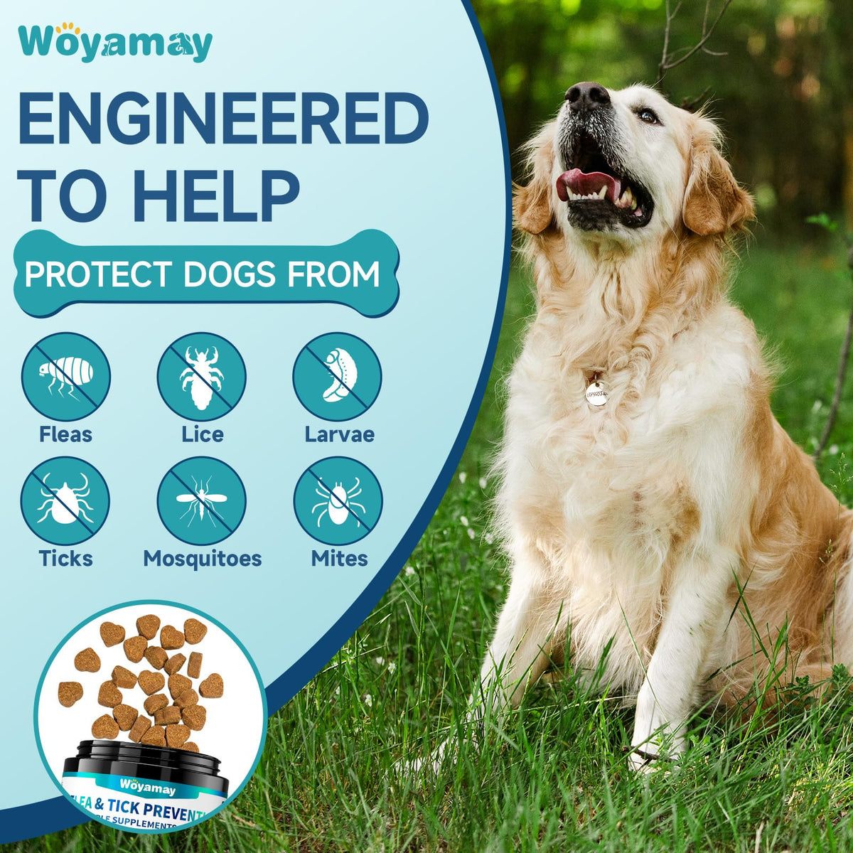 Flea and Tick Prevention for Dogs S18849